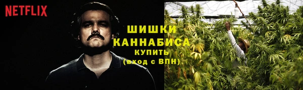 индика Богородск