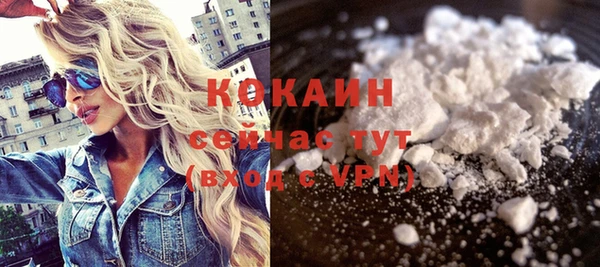 индика Богородск