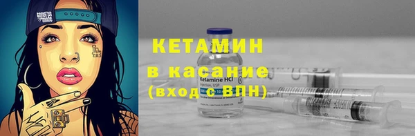индика Богородск