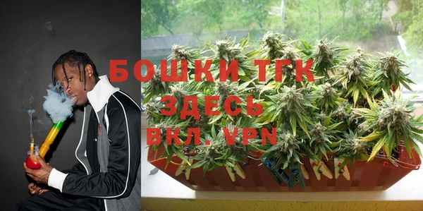 индика Богородск