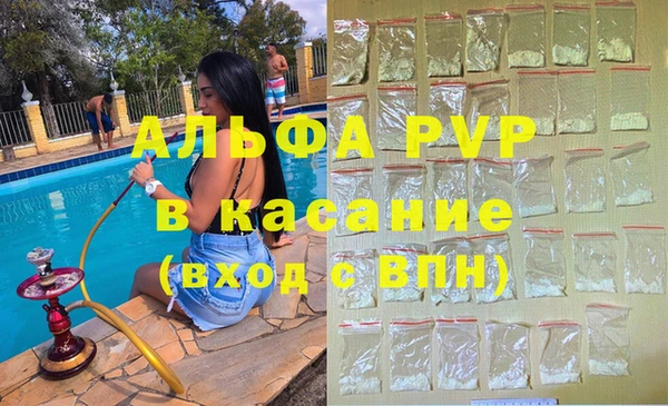 spice Богданович