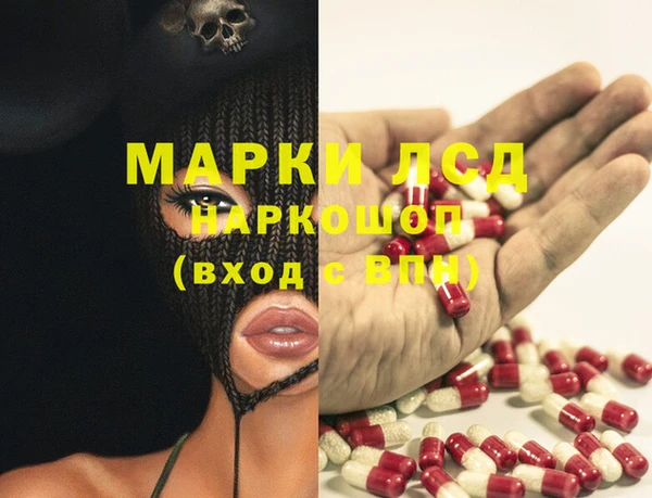 spice Богданович