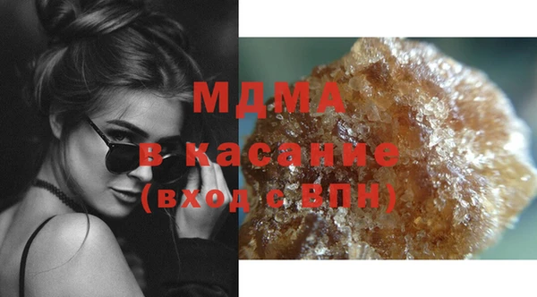 индика Богородск